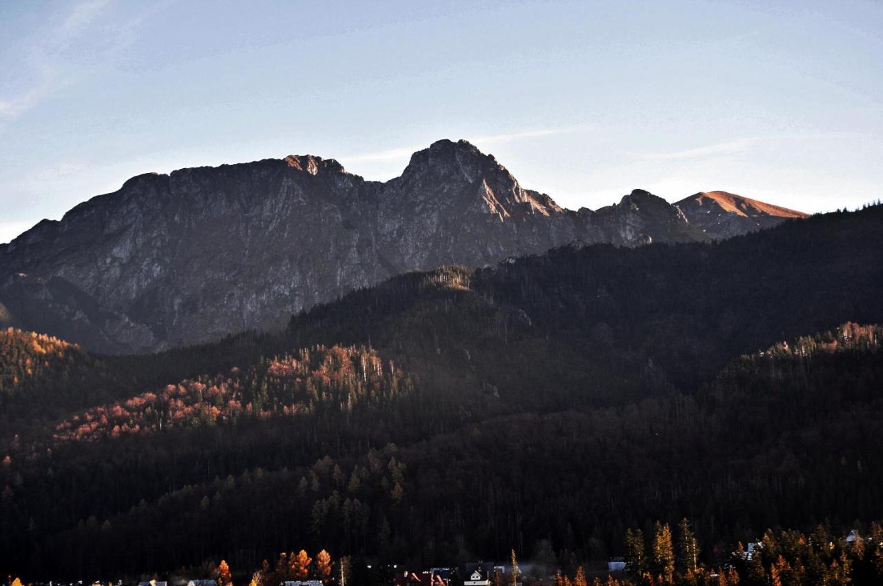 Apartamenty Sobiczkowa Wyspa Kościelisko Buitenkant foto