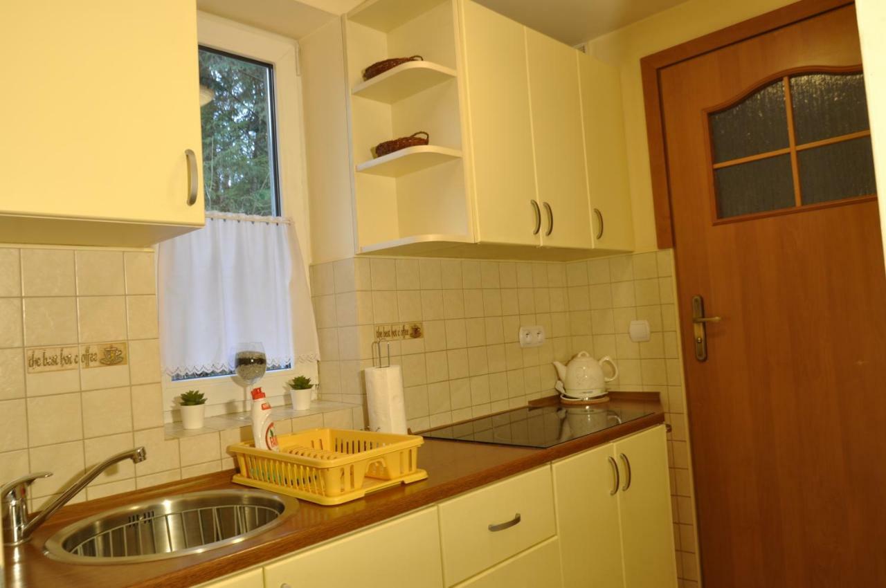 Apartamenty Sobiczkowa Wyspa Kościelisko Buitenkant foto