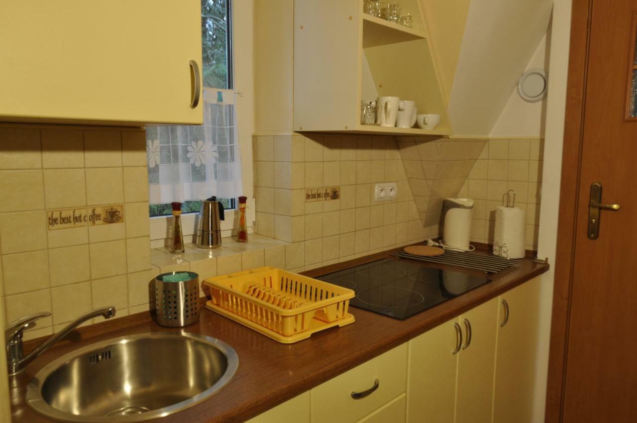 Apartamenty Sobiczkowa Wyspa Kościelisko Buitenkant foto